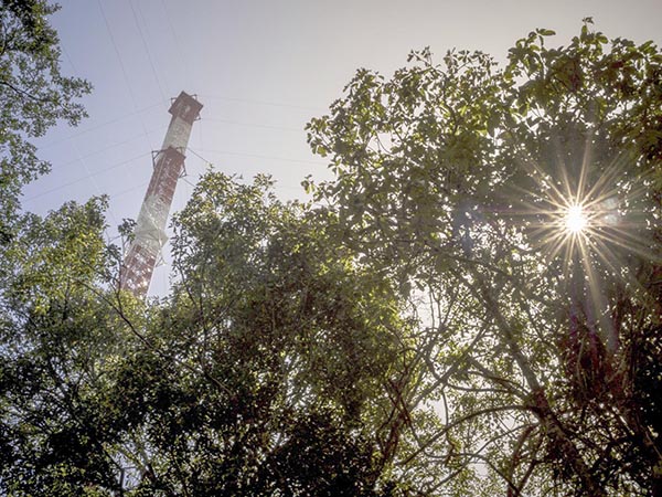  Fue inaugurada  la torre ATTO en la Amazonia