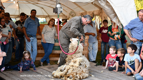  Urdinarrain prepara la  3ª. Edición de la Expo Ovina