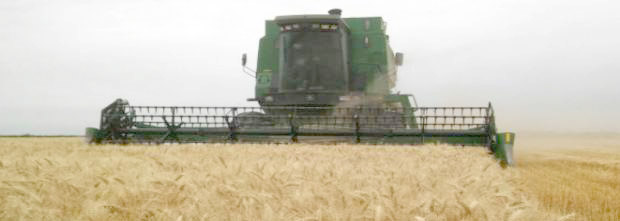 Prevén lluvias en gran parte del área agrícola
