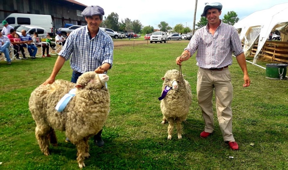 Urdinarrain vivió la Expo ovina y el Encuentro de Productores
