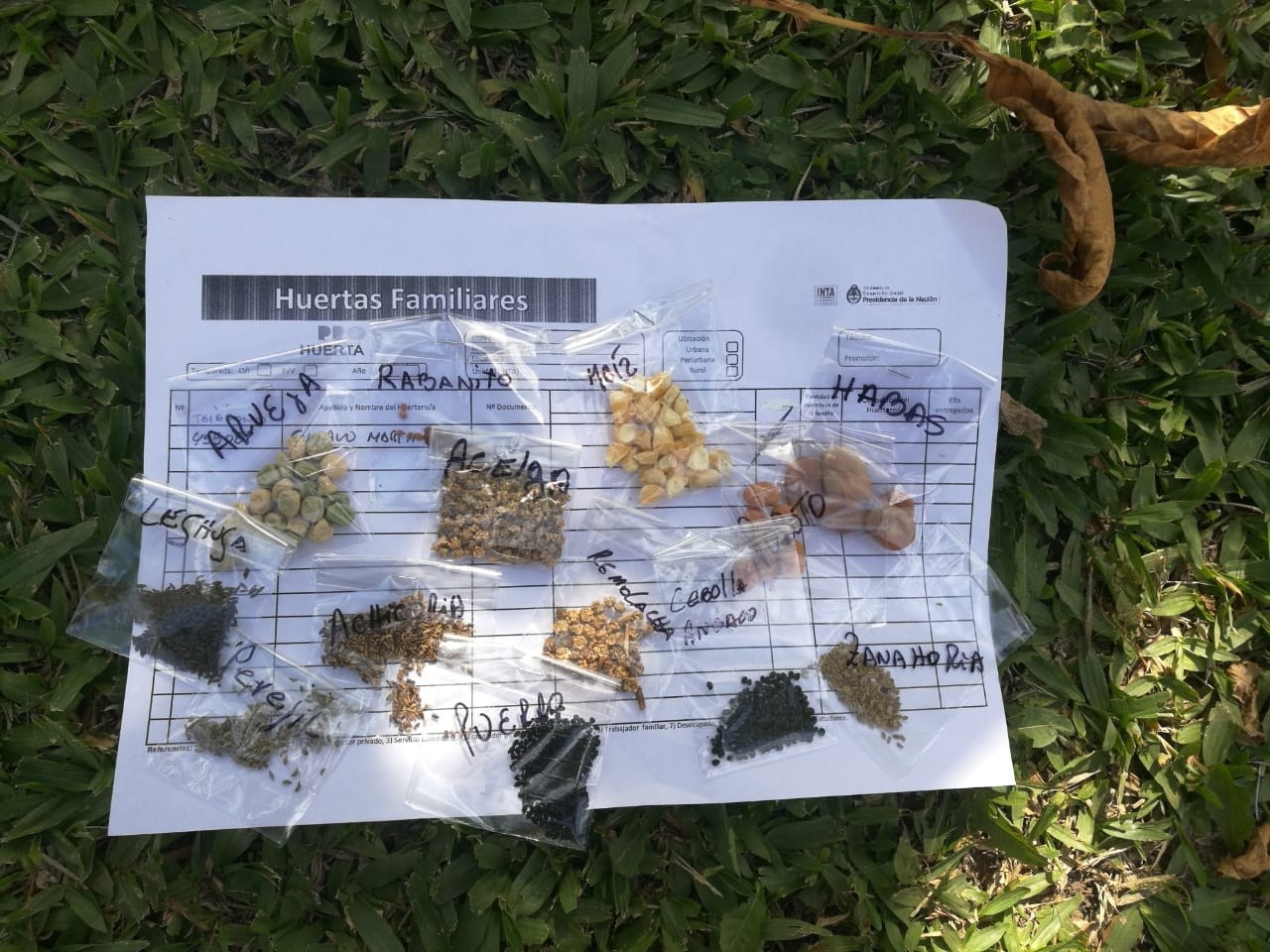 Pueblo Belgrano: entregarán semillas de temporada por pedido y a domicilio