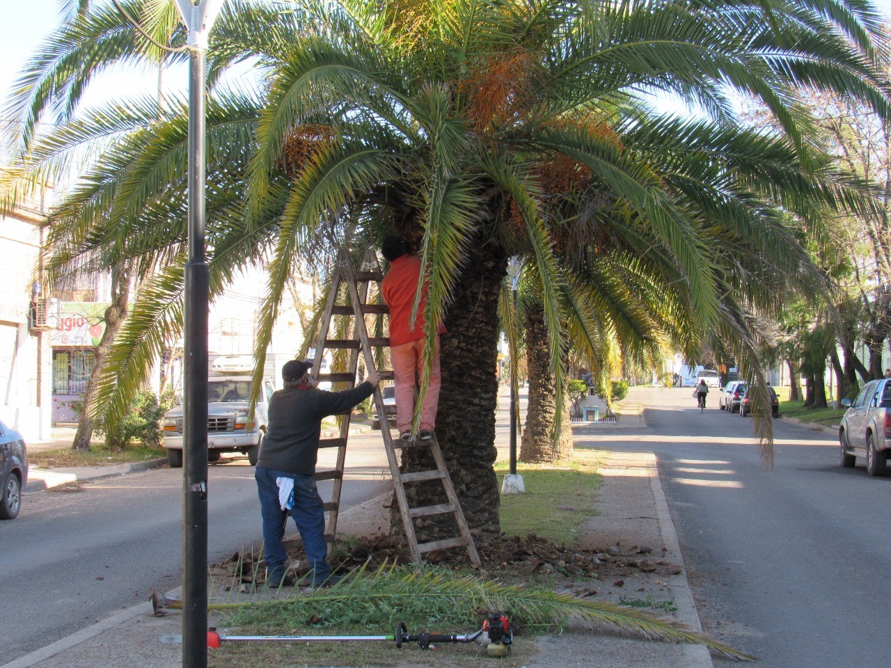 Larroque: Realizan trabajos y obras en la vía pública