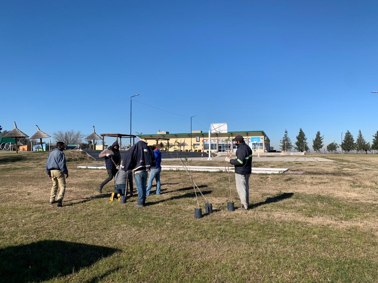 Plantan variedades de árboles en el Polideportivo Municipal