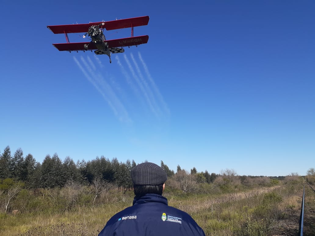 Plaga de langosta: Farer aseguró  que los operativos son exitosos