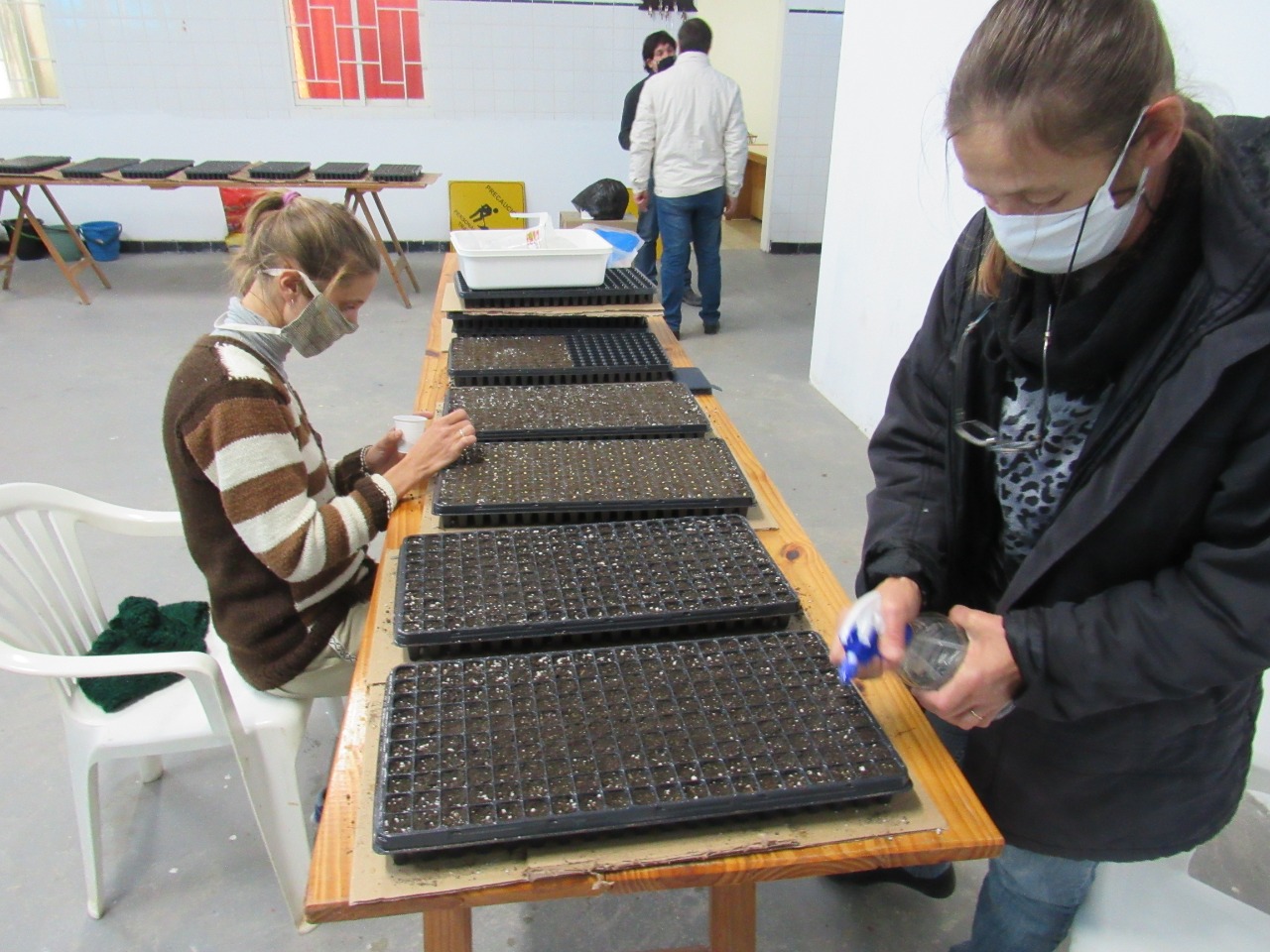 En Larroque se siembran alrededor de cinco mil plantines