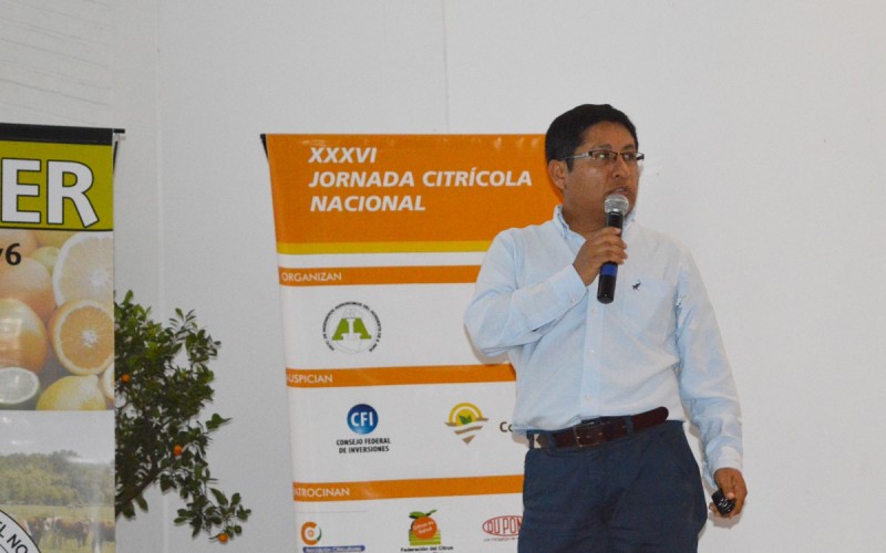 El Senasa declaró alerta fitosanitaria en todo el país la plaga tucura quebrachera