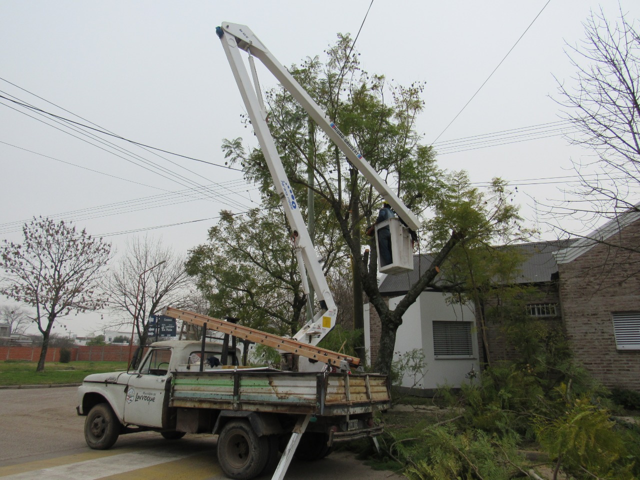 Culminó la poda de árboles en la vía pública de Larroque