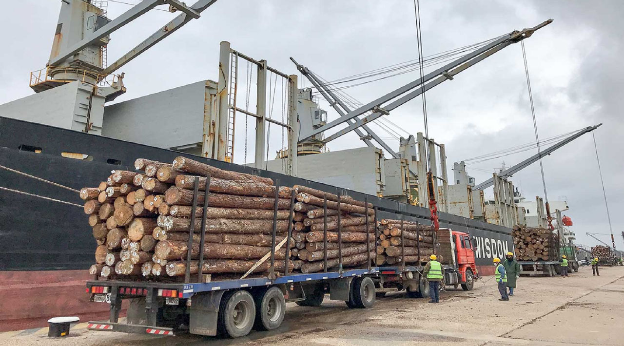 Los puertos entrerrianos  cargarán dos ultramarinos en una semana