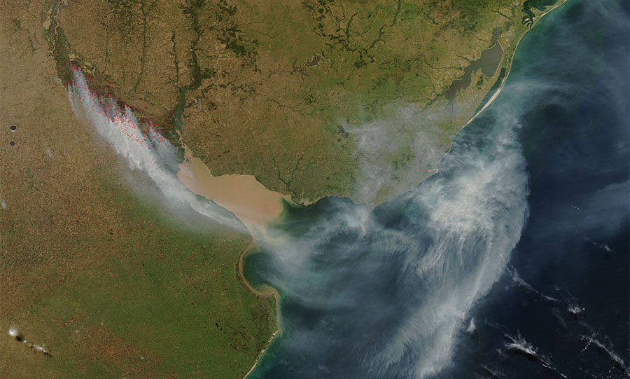Las lluvias apagaron los focos de incendio en el Delta del Paraná,