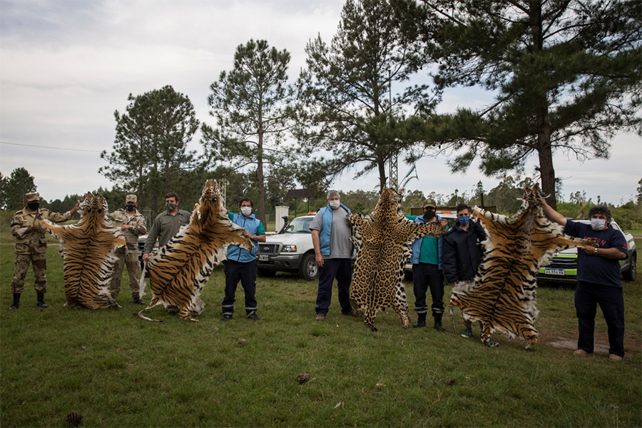 La Brigada de Control Ambiental inspeccionó centros de fauna silvestre en la provincia