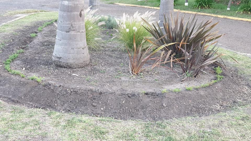 Denuncian daños en las plazoletas municipales de Gilbert