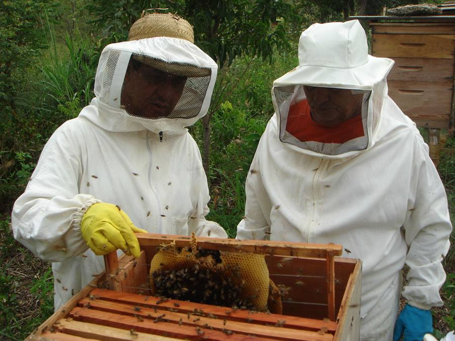 La reducción de retenciones a la exportación  favorece  a las economías regionales entrerrianas