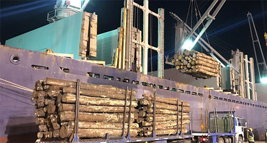 Las exportaciones entrerrianas llegan  a más de 130 mercados en el mundo