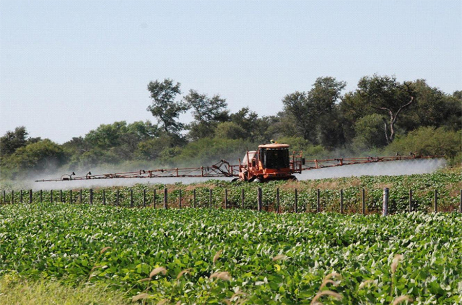 Fumigaciones: el Superior Tribunal invalidó una polémica sentencia 