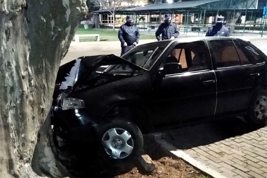 Alcoholizado chocó contra un árbol en zona de la Costanera