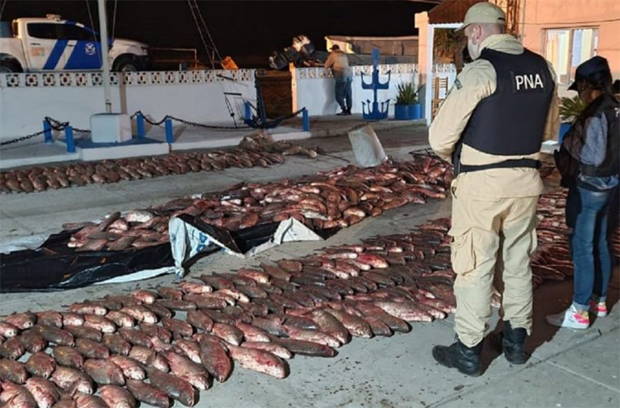 Golpe a la pesca furtiva en Ibicuy, incautan tres mil kilos de sábalos