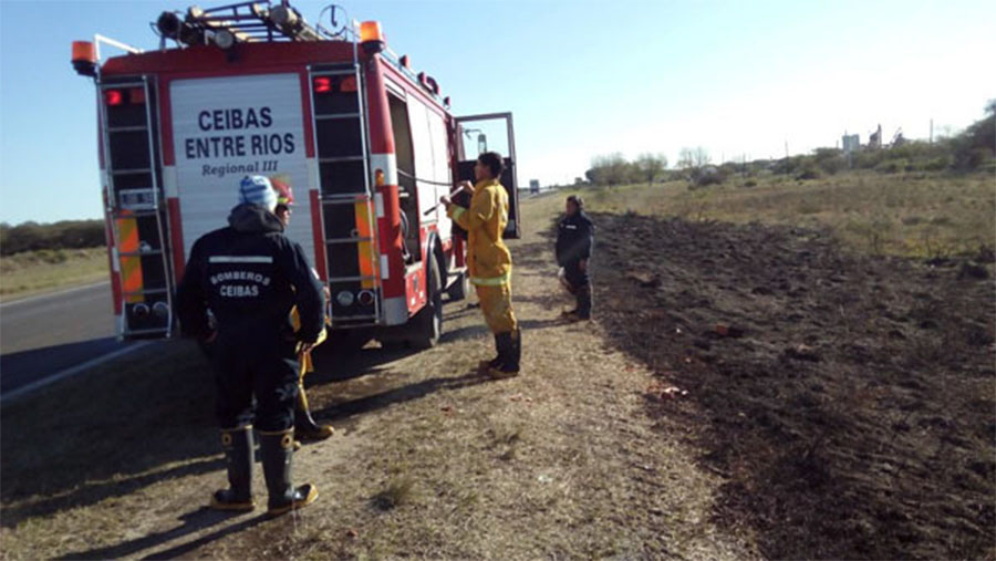 Brigadistas sofocaron incendios en la zona de Ibicuy