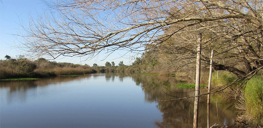 Charla virtual sobre las áreas naturales protegidas