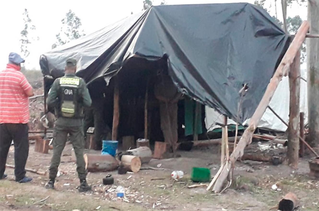 Hallaron en condiciones  infrahumanas a trabajadores  en un campo de eucaliptos