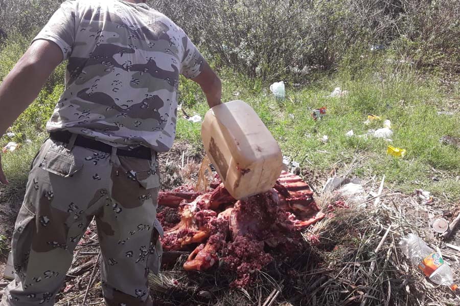 Decomisan más de 100 kilos de carne vacuna 