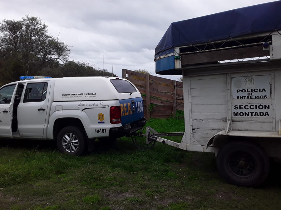 Veterinaria Municipal retiró  dos equinos del ejido urbano