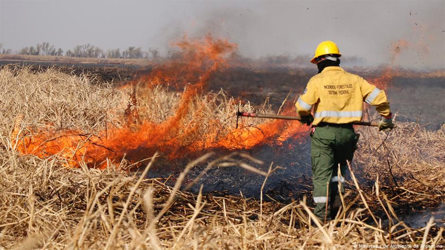 Informe sobre la situación de los  incendios en el Delta del Paraná