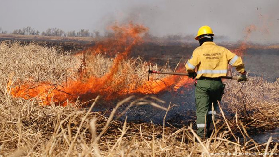 Se registró un nuevo incendio en zona de islas del Delta del Paraná
