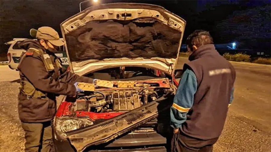 Rescatan aves autóctonas