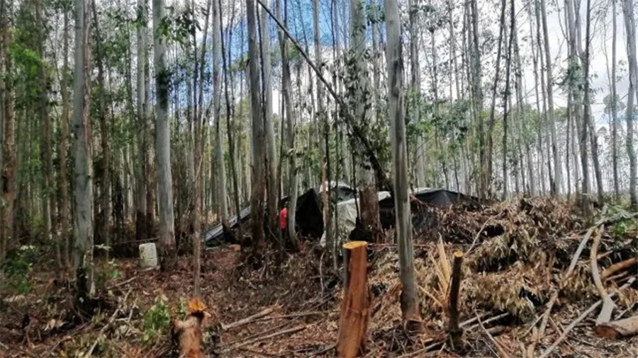 Detenidos por explotar a siete obreros y a un niño en un campo