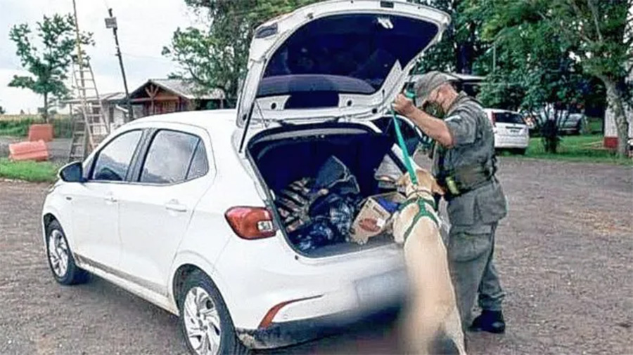 Dieron prisión condicional por un viaje narco que realizó una empleada municipalidad de Paraná