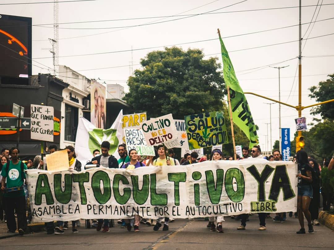 Reclaman la reglamentación de la Ley de Acceso al Cannabis Medicinal en Entre Ríos