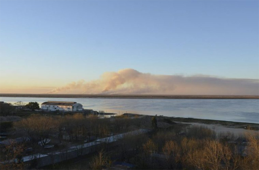 Allanaron una plantación ilegal  de maíz en Islas las Lechiguanas