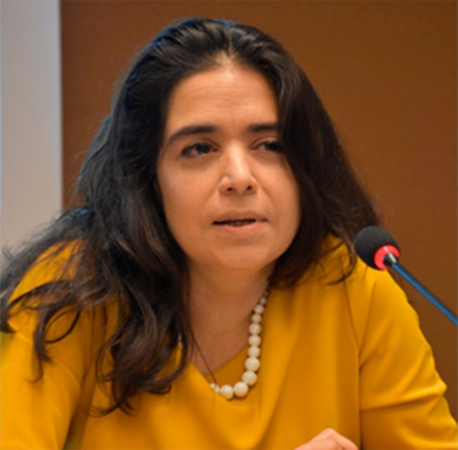 Designan a la argentina Verónica  Gómez como jueza en la CIDH