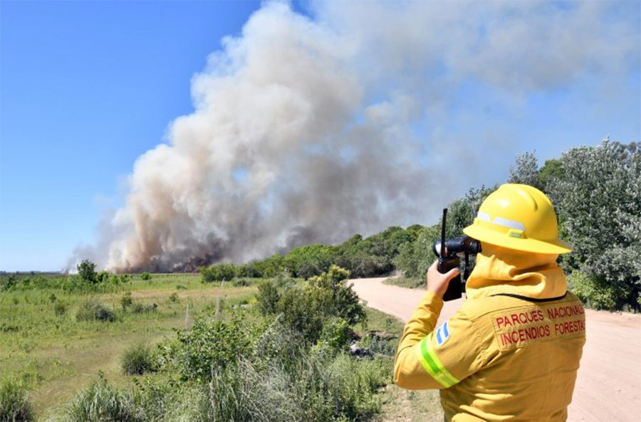 Varios brigadistas entrerrianos combaten el  incendio en el Parque Ciervo de los Pantanos