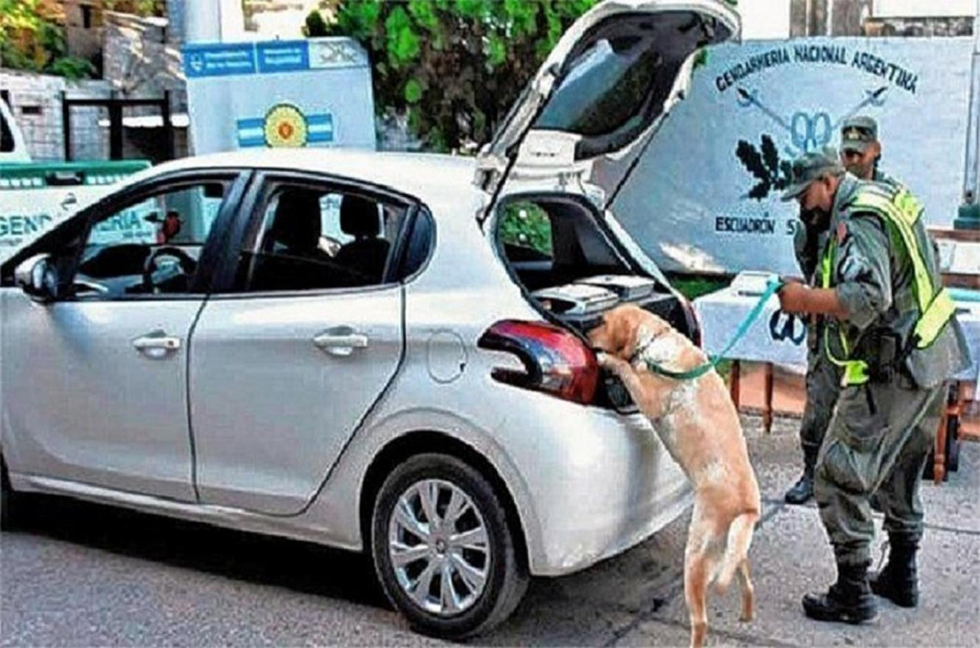 Condenados por transportar 10  kilos de cogollos de marihuana