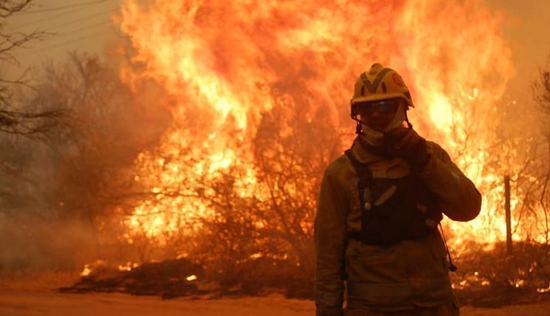 Los incendios forestales