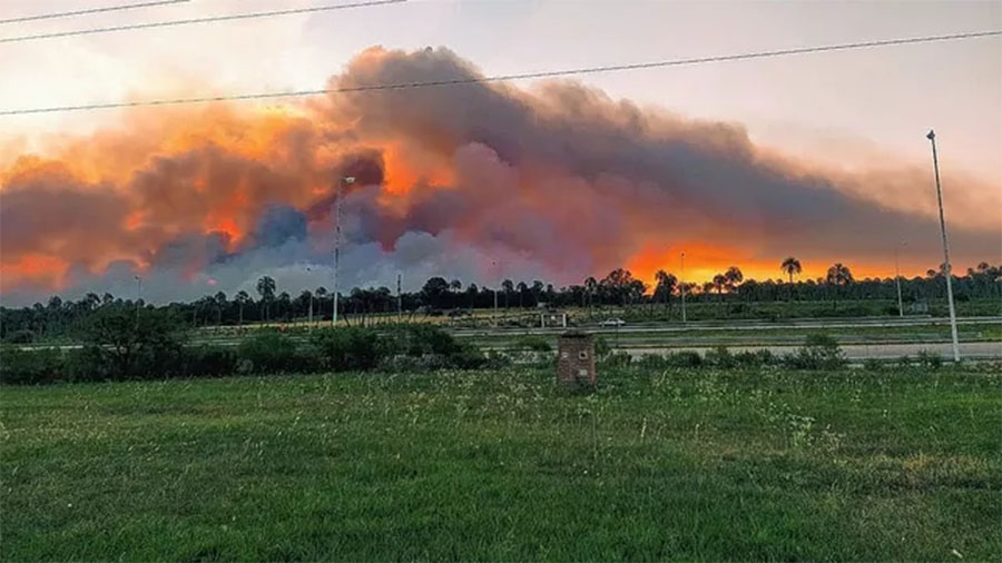 Está controlado el incendio de gran magnitud frente a El Palmar