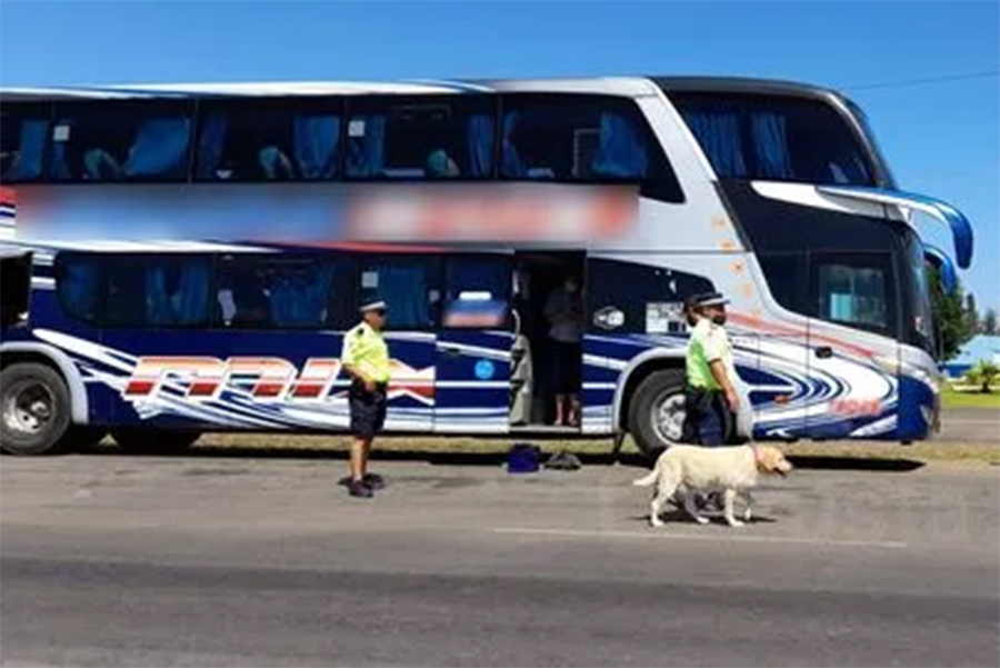 Viajaba en colectivo con medio kilo de droga