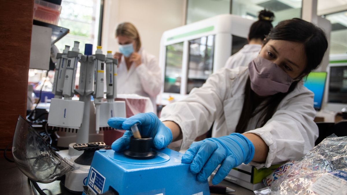 Otros 37 muertos y 101.689 nuevos  contagios de coronavirus en el país