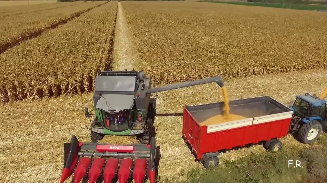 Campo: FARER advierte sobre la posible suba de las retenciones