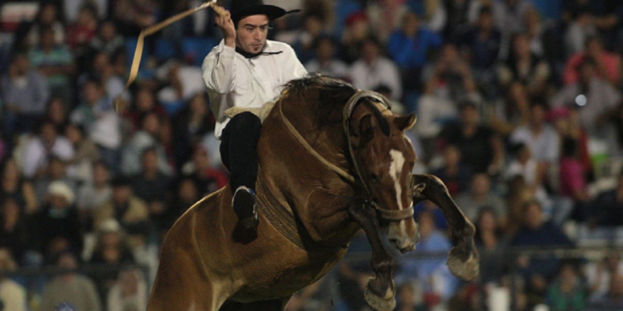 Proteccionistas impulsarán un plebiscito que prohíba las  jineteadas en Entre Ríos