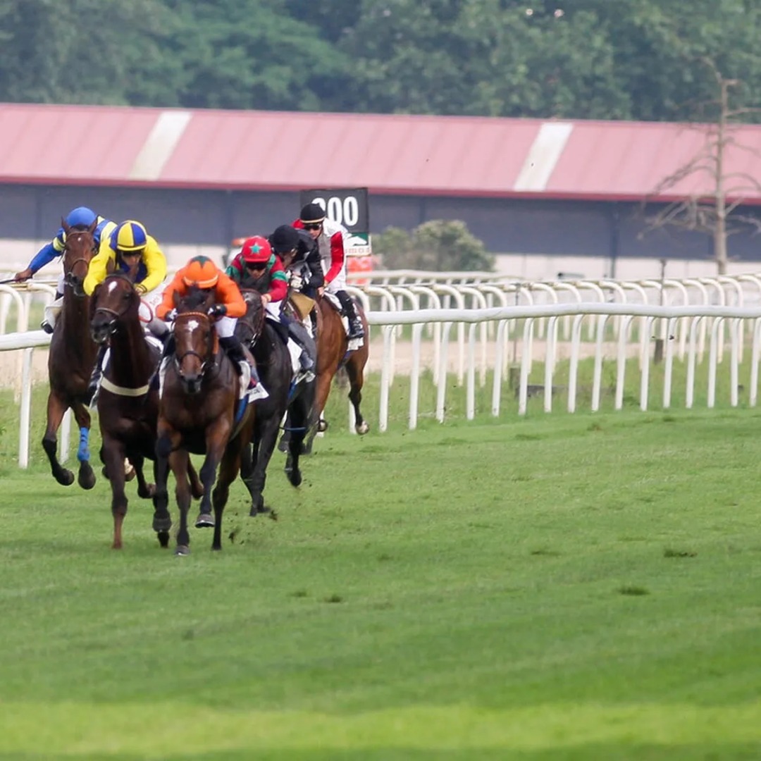 Intensa actividad turfística