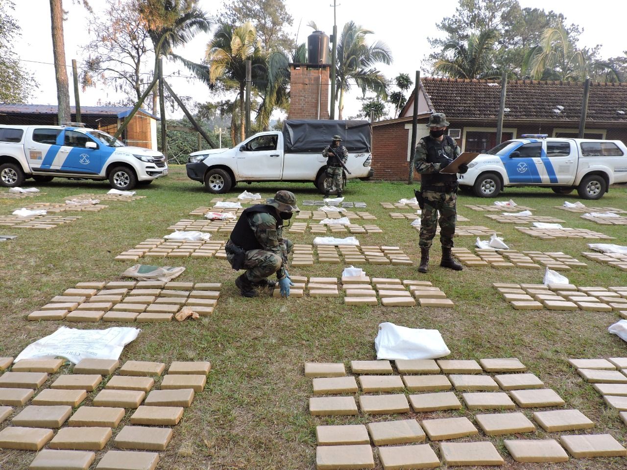 Prefectura decomisó más de media tonelada  de marihuana