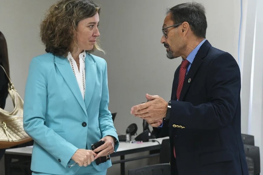 Goyeneche: Frenaron la votación del jurado y  suspendieron la  definición del jury 