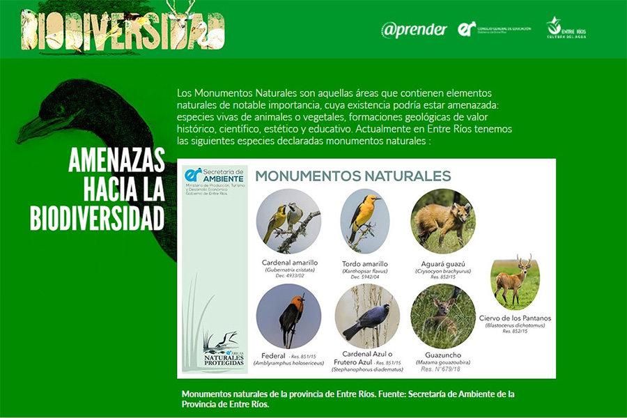 Lanzan contenidos educativos para sensibilizar sobre la biodiversidad