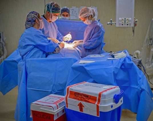 Entre Ríos figura entre las provincias que más donaciones de órganos realizó en 2023