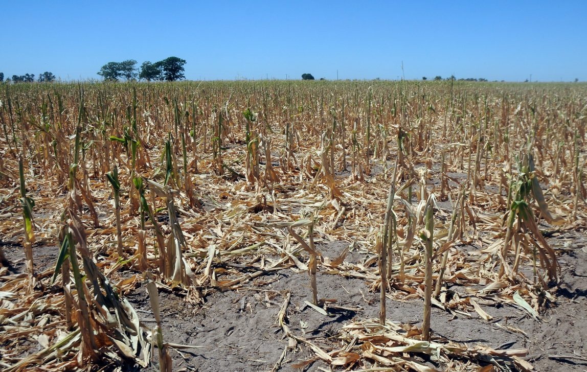 El cambio climático también afecta al país