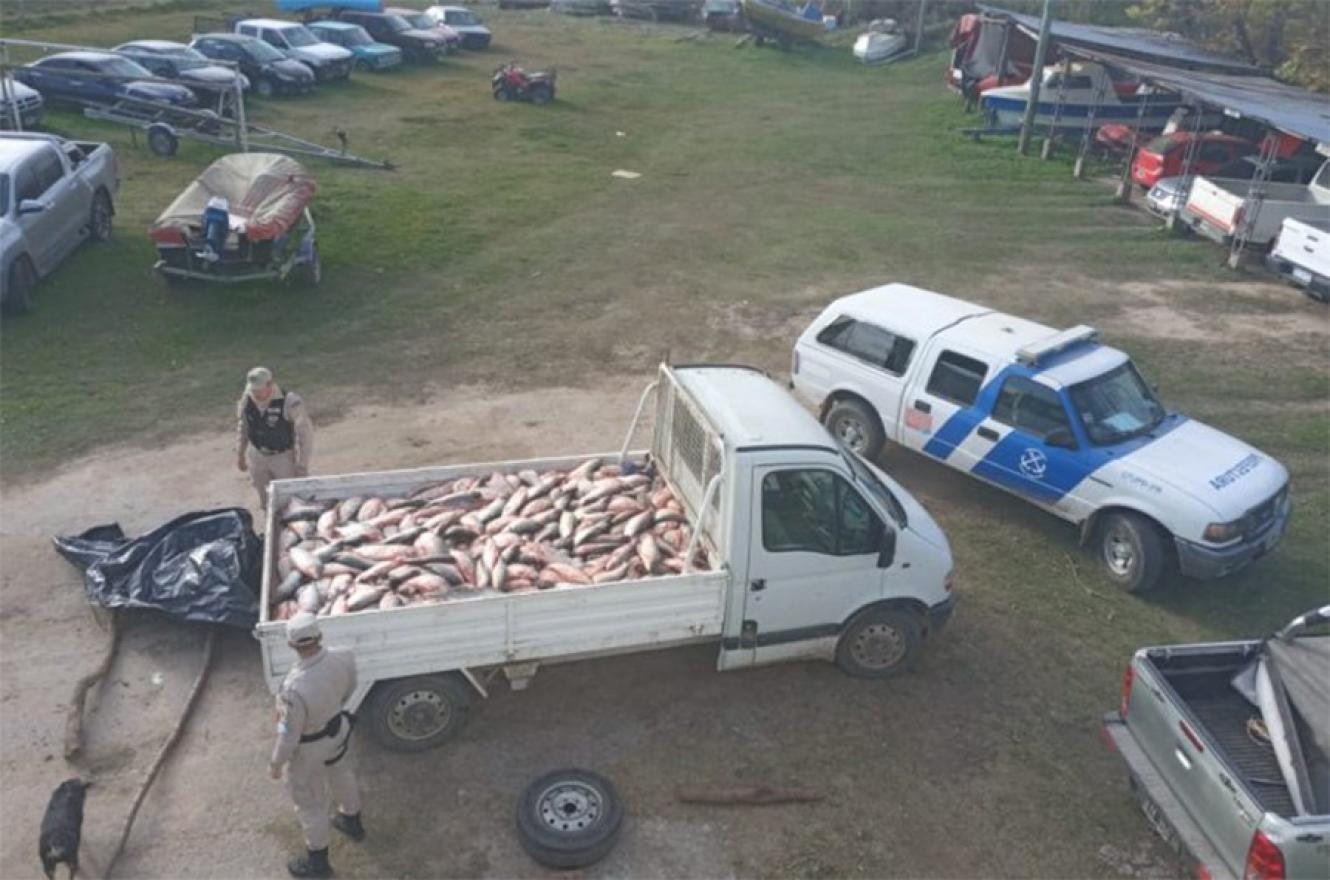Prefectura desbarató  en islas otro  contrabando de pescado al Uruguay