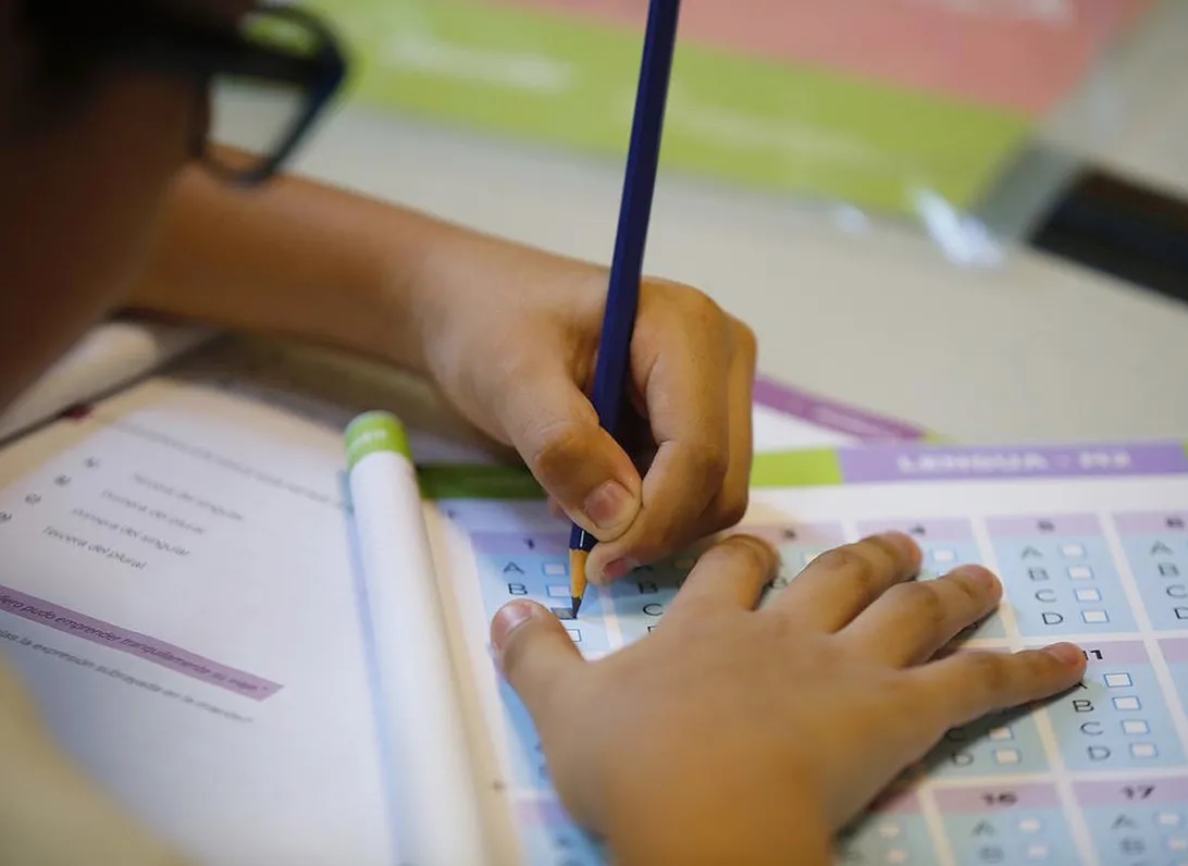 Detectan mayores dificultades  en Lengua y estabilidad en  Matemática tras la pandemia