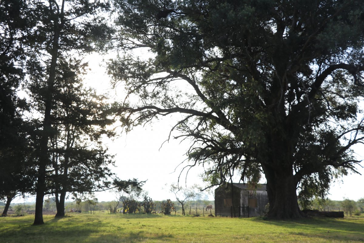Ahora pedirán un estudio de  impacto ambiental para conocer la  viabilidad del proyecto Las Piedras